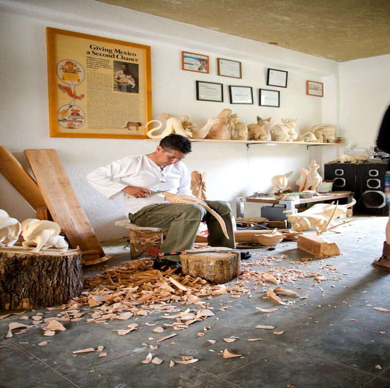 oaxaca-monte-alban-and-the-art-of-oaxaca
