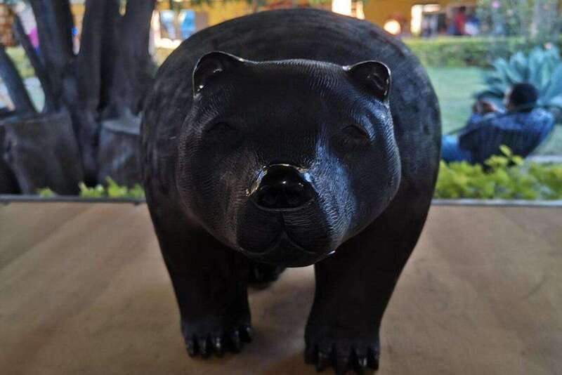 oaxaca-oaxacan-roots-monte-alban