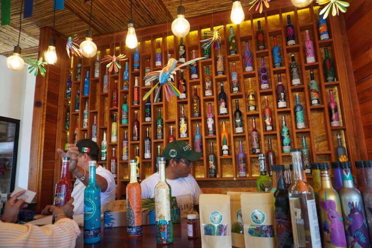 oaxaca-oaxacan-roots-monte-alban