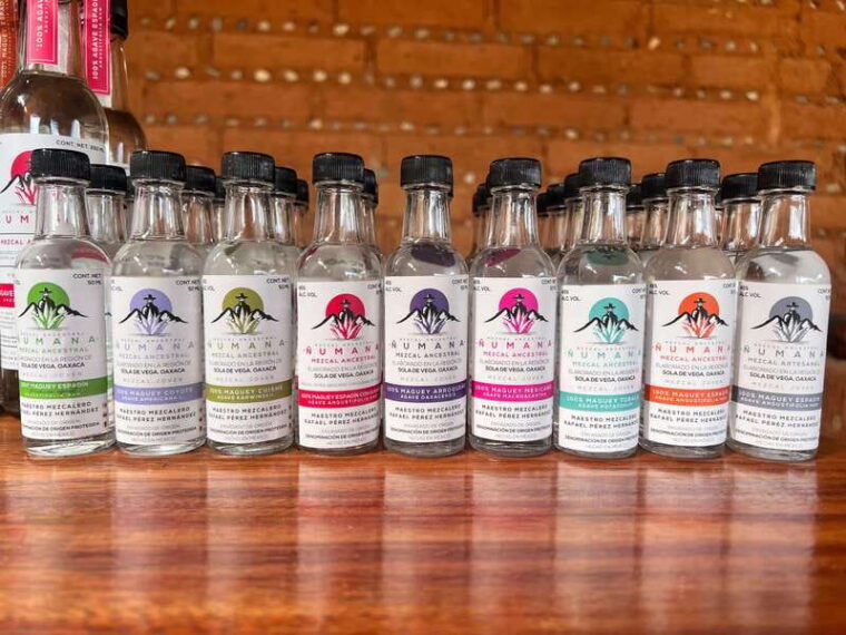 oaxaca-oaxacan-roots-monte-alban