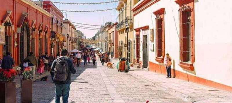 Oaxaca: Private City Tour with Local Food Buffet - Exploring Oaxaca: A Private City Tour with Local Food Buffet