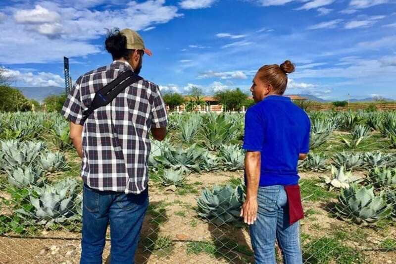 Oaxaca: Private Gastronomy and Culture Tour - FAQs