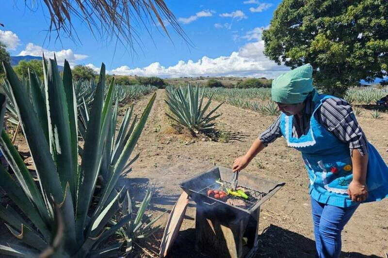 Oaxaca: Private Lunch in Maguey Fields with Mezcal Tasting - A Closer Look at the Experience