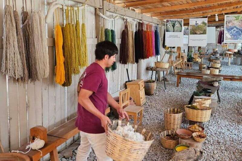 Oaxaca: Traditional Market Private Tour - The Artistic Heart of Teotitlán del Valle