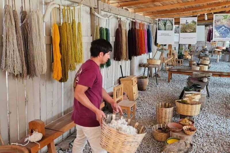 Oaxaca: Traditional Market Private Tour - Who is this tour best for?