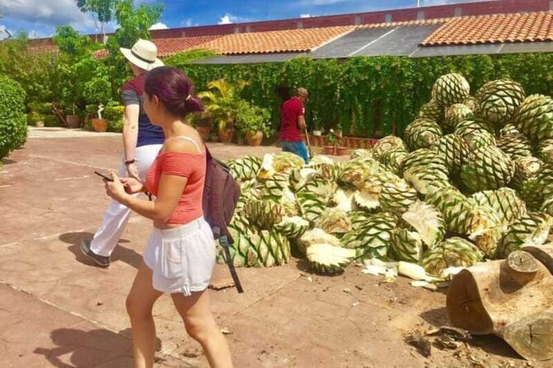 Oaxaca: Traditional Market Private Tour - The Sum Up
