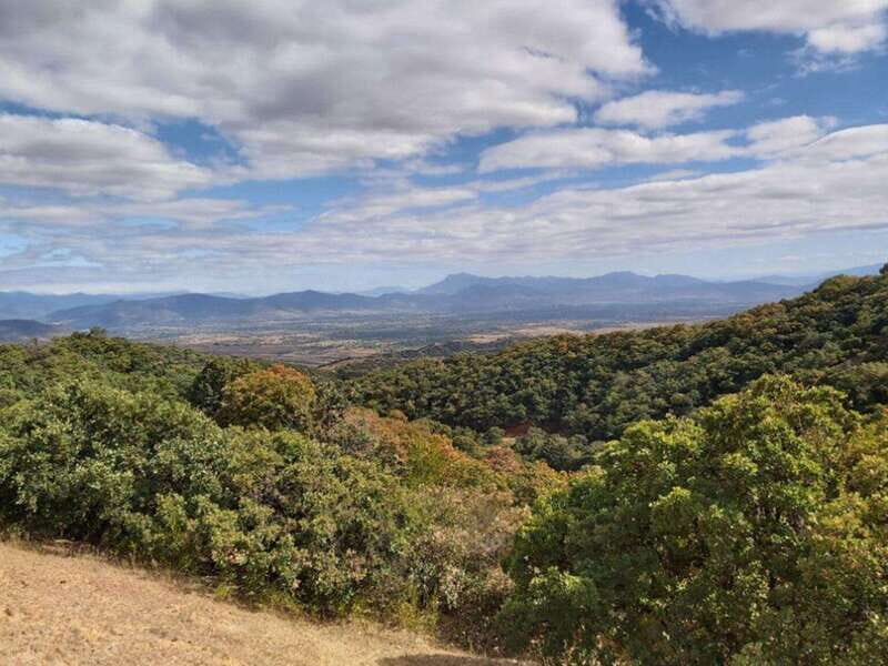 Oaxaca: Valley Mountains and Jalapilla Half Day Tour - Key Points