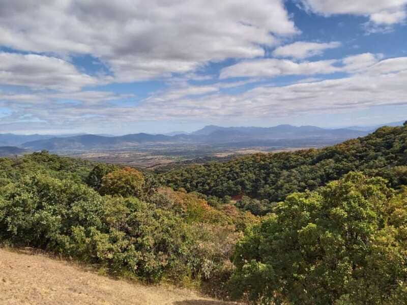 Oaxaca: Valley Mountains and Jalapilla Half Day Tour - Value for Money
