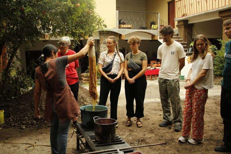 Oaxaca: Zapotec Roots, Mezcal and Textiles Tour - What to Expect from the Oaxaca Zapotec Roots Tour