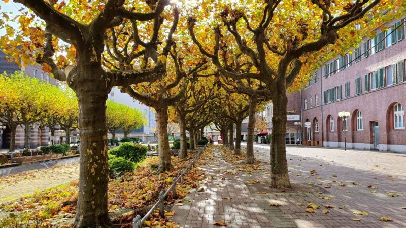 oberhausen-self-guided-walk-to-explore-the-city-centre