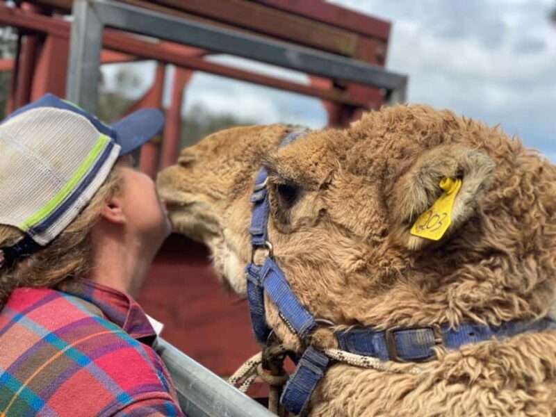 Oberon: Kenzell Farm Tour  A Hands-On Animal Adventure! - Key Points