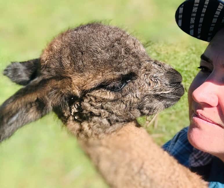 Oberon: Kenzell Farm Tour  A Hands-On Animal Adventure! - What Makes the Kenzell Farm Tour Special?