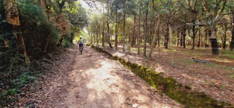 Óbidos: E-Bike Tour to Quinta do Gradil with Wine Tasting - An In-Depth Look at the Óbidos E-Bike Tour