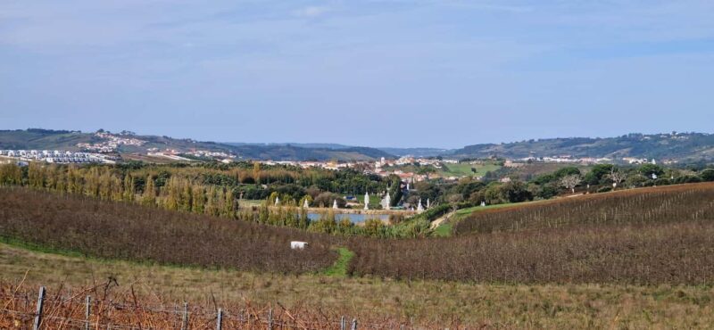 Óbidos: E-Bike Tour to Quinta do Gradil with Wine Tasting - FAQ