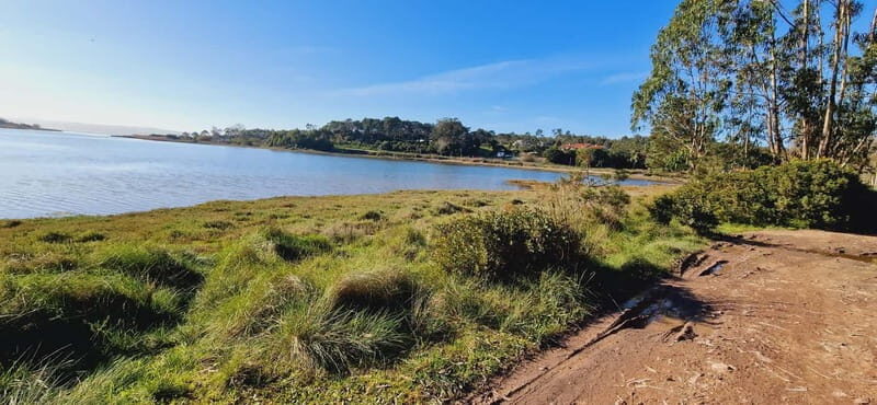 Óbidos to Peniche: Explore the Atlantic Coast E-bike Tour - Who Will Love This Tour?