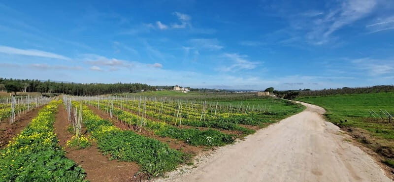 Óbidos to Peniche: Explore the Atlantic Coast E-bike Tour - Frequently Asked Questions