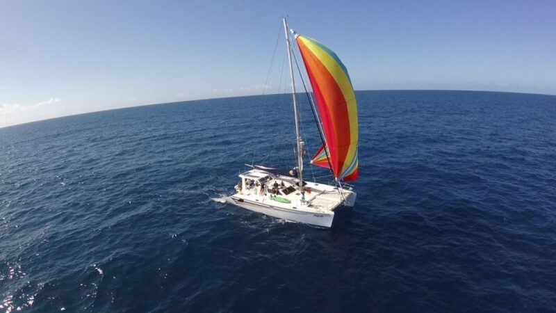 Ocean City: Sailing Catamaran Cruise with Crew - Key Points  