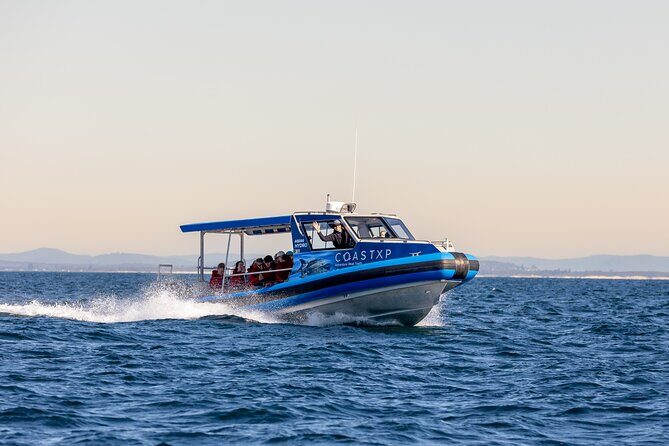 Ocean Explorer Tour from Lake Macquarie - Final Thoughts
