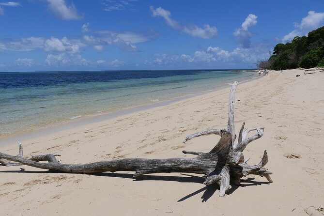 Ocean Free 25 guest Great Barrier Reef & visit Green Island Tour - The Experience in Practice
