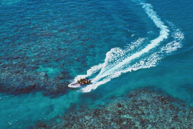Ocean Freedom Great Barrier Reef Luxury Snorkel and Dive Cruise - The Food and Beverages
