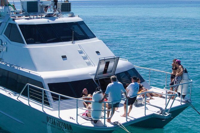 Ocean Freedom Great Barrier Reef Luxury Snorkel and Dive Cruise - Practical Aspects and Value