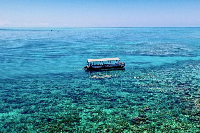 Ocean Freedom Great Barrier Reef Luxury Snorkel and Dive Cruise - Who Is This Tour Best For?
