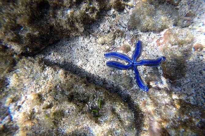 ocean-kayak-and-snorkeling