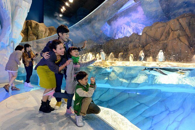 Ocean Park Full-Day Coach Tour with Hotel Pickup in Kowloon Area from Hong Kong - Who Is This Tour Best For?