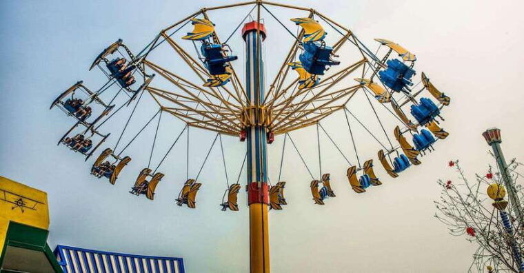 ocean-park-tour-with-standard-entry-ticket-with-transfers