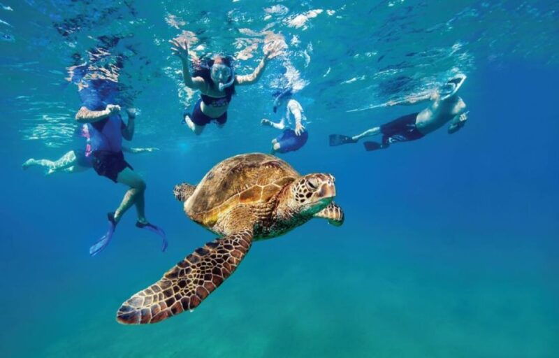 ocean-reef-snorkeling-and-paddleboarding