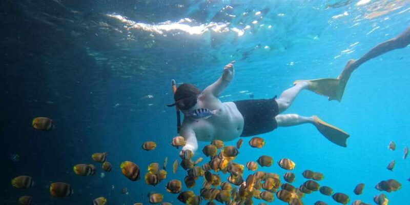 ocean-rider-amazing-snorkeling-package-at-nusa-penida