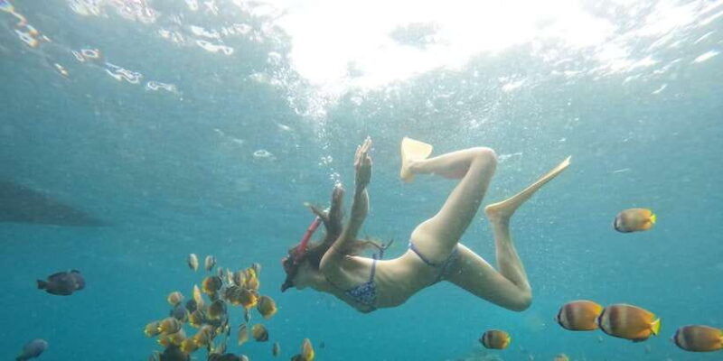 ocean-rider-amazing-snorkeling-package-at-nusa-penida