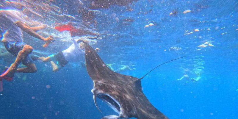 ocean-rider-amazing-snorkeling-package-at-nusa-penida