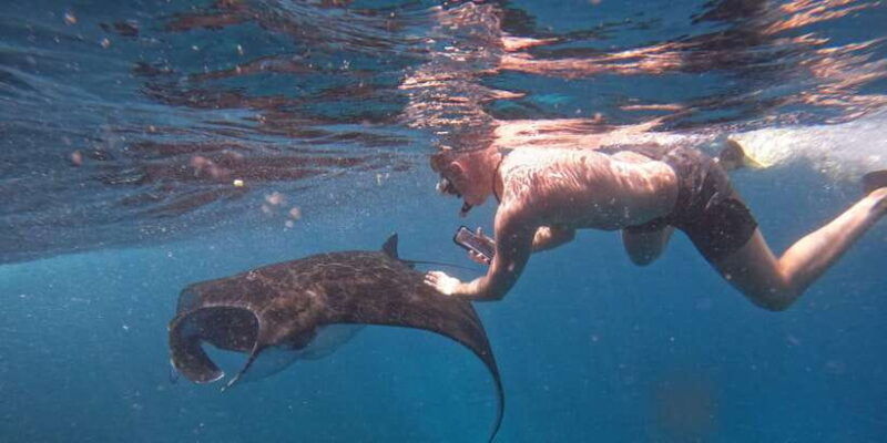 ocean-rider-enjoy-a-fun-experience-with-manta-rays