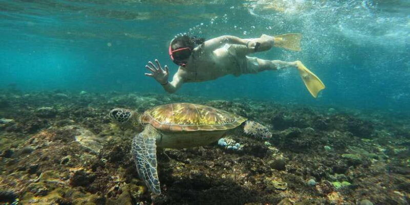 ocean-rider-enjoy-a-fun-experience-with-manta-rays