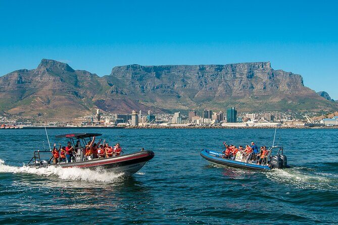 Ocean Safari - Who Should Book This Tour?