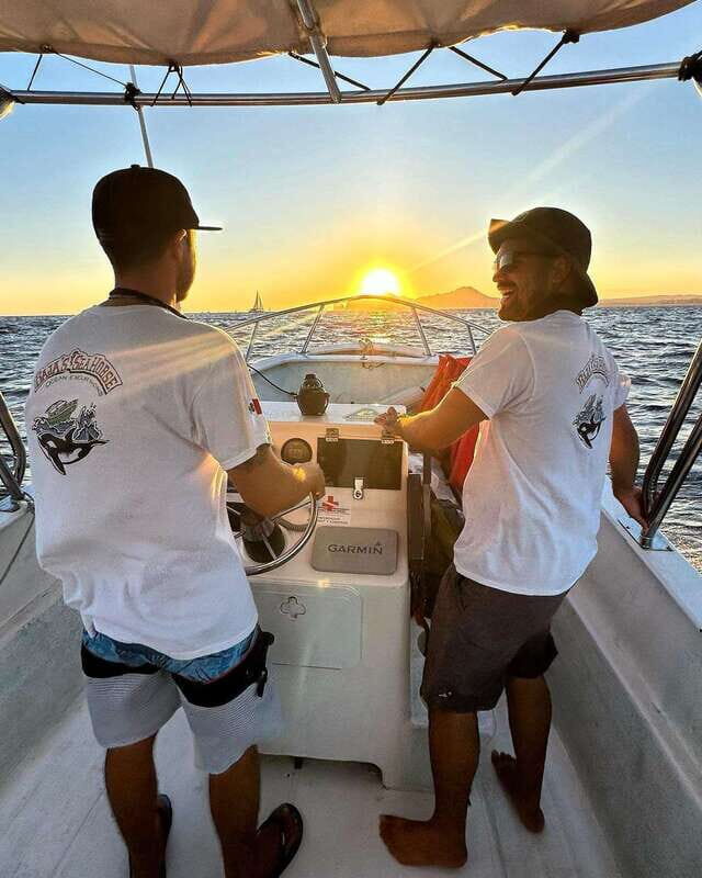 Ocean Safari in Cabo San Lucas. - FAQs