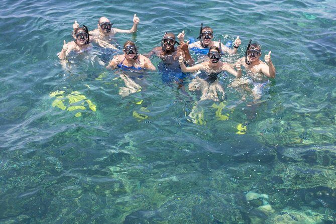 Ocean safari tour - What Reviewers Love Most
