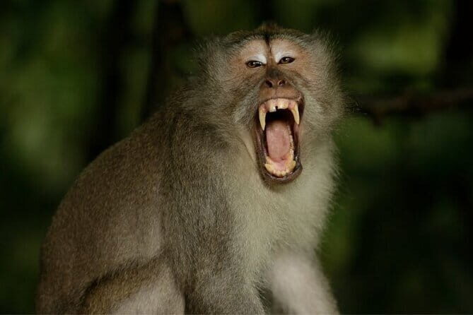 Ocean Walker with Tanah Lot Sea Temple Tour - The Sum Up