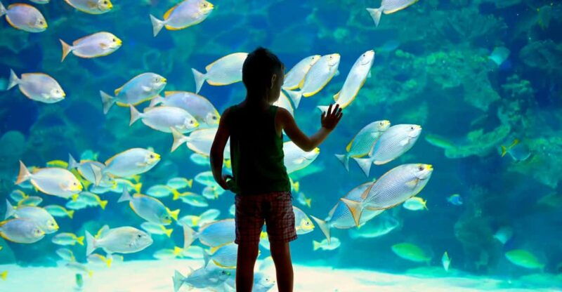 oceanographic-museum-of-monaco-ticket