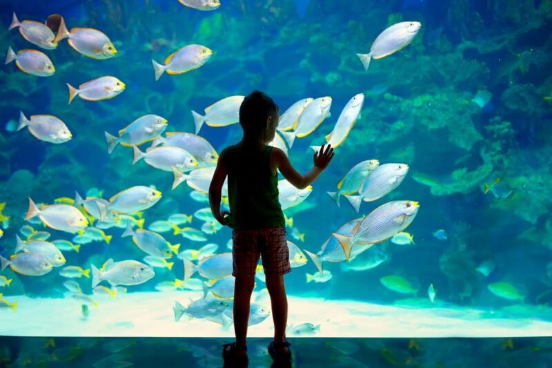 oceanographic-museum-of-monaco-ticket