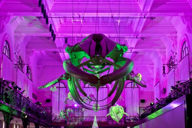 oceanographic-museum-of-monaco-ticket