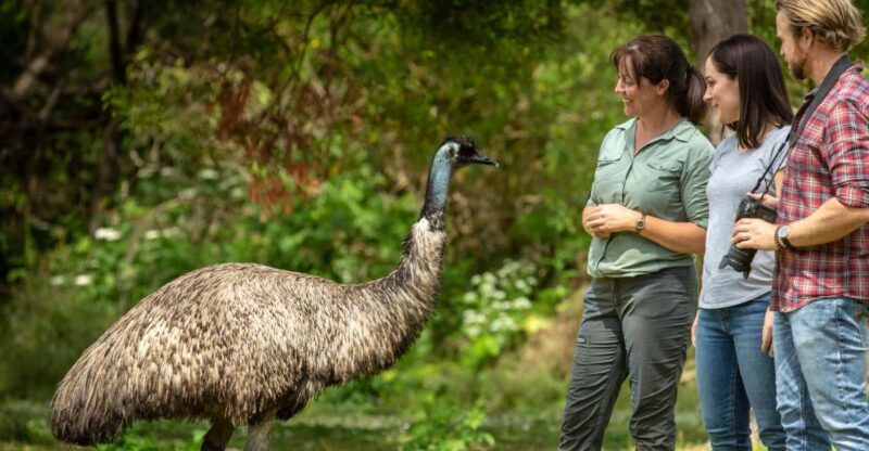 Oceans to Mountains Explorer: 3-Day Great Ocean Road Tour - Key Points  