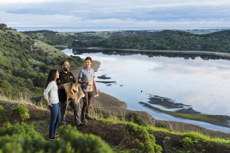 Oceans to Mountains Explorer: 3-Day Great Ocean Road Tour - Final Thoughts: Who Is This Tour For?
