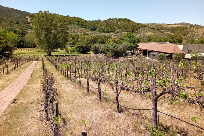 oceanside-auto-museum-winery-tour-tasting