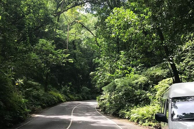 ocho-rios-city-day-experience