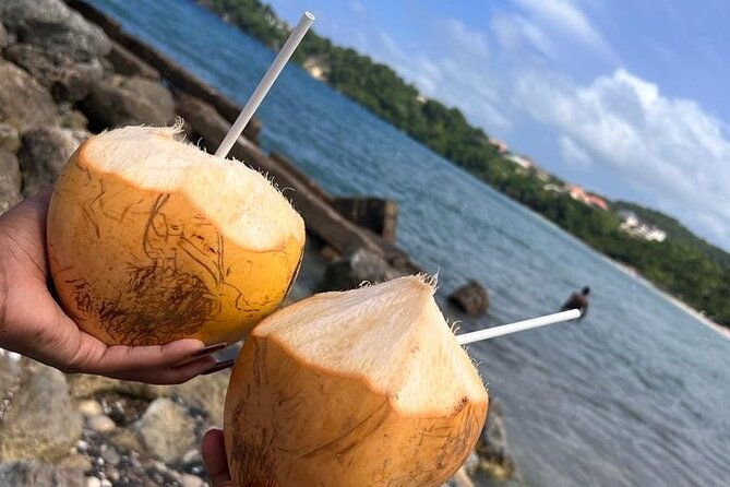 ocho-rios-sightseeing-tours-and-shopping