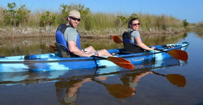 ochopee-half-day-mangrove-tunnel-kayak-tour