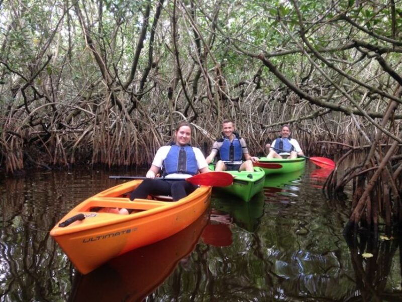 ochopee-half-day-mangrove-tunnel-kayak-tour