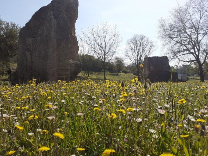ocriculum-entrance-to-the-umbrian-archaeological-park